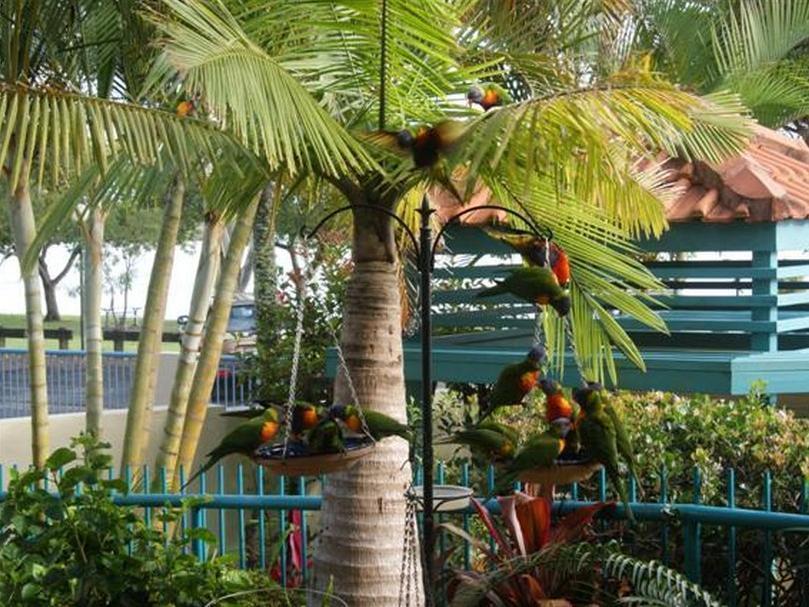 The Esplanade Riverview Holiday Apartments
